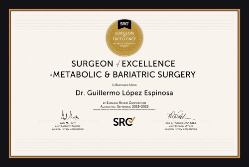 Surgeon of Excellence in Metabolic and Bariatric Surgery Mexico