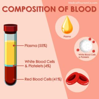 Blood components | Stem Cell Therapy in Mexico