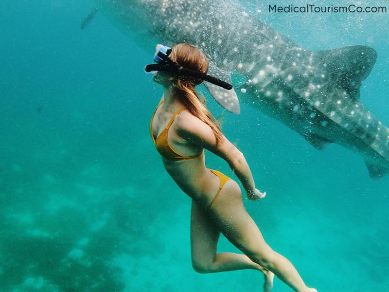 Swim with Whale Sharks | Dental Tourism in Cabo