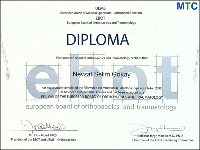 Dr. Nevzat Selim Gokay | European Board of Orthopedics & Traumatology (EBOT) Certificate