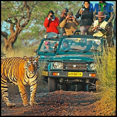 Ranthambore National Park | Orthopedic Tourism in India