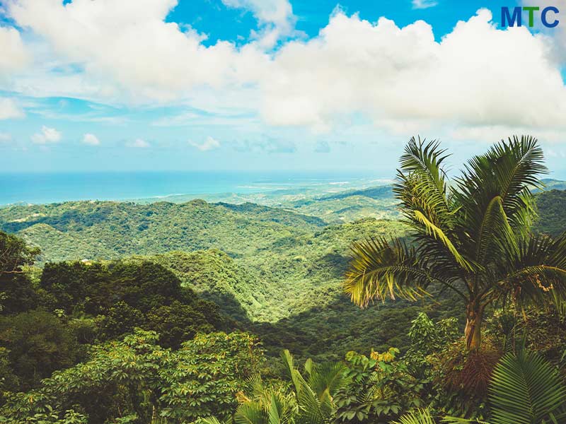 Vista desde la montaña | Puerto Rico