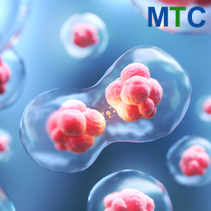 Embryonic stem cell