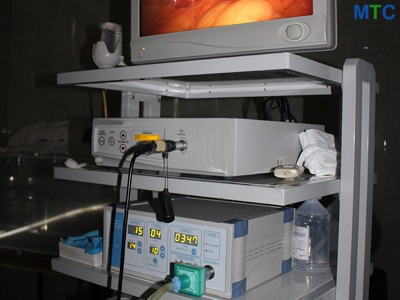 Endoscopic sleeve gastroplasty equipment