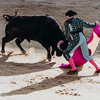 Bull Fighting in Mexico
