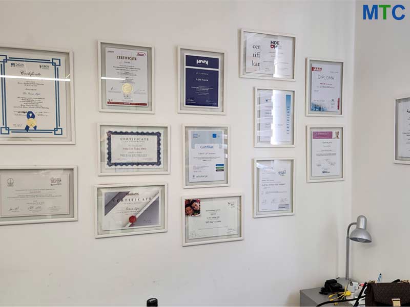 Dr. Ivana Lijić's Certificates