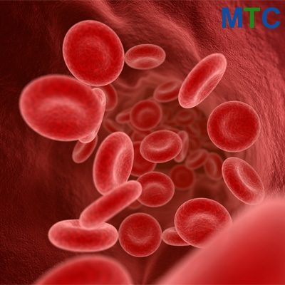Blood cells in vein