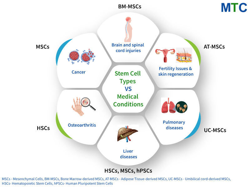 Stem Cell Types vs Medical Conditions